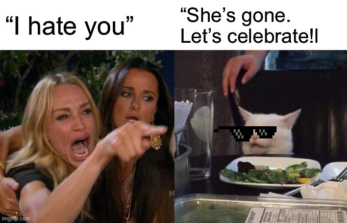Woman Yelling At Cat | “I hate you”; “She’s gone.
Let’s celebrate!l | image tagged in memes,woman yelling at cat | made w/ Imgflip meme maker