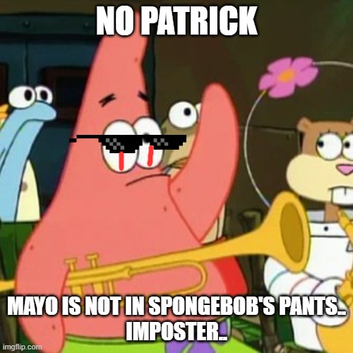 NO PATRICK | NO PATRICK; MAYO IS NOT IN SPONGEBOB'S PANTS..
IMPOSTER.. | image tagged in memes,no patrick | made w/ Imgflip meme maker