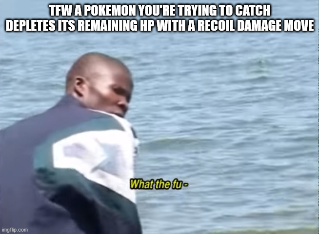 Pokemon PP (Pet Peeves) | TFW A POKEMON YOU'RE TRYING TO CATCH DEPLETES ITS REMAINING HP WITH A RECOIL DAMAGE MOVE | image tagged in what the fu- | made w/ Imgflip meme maker
