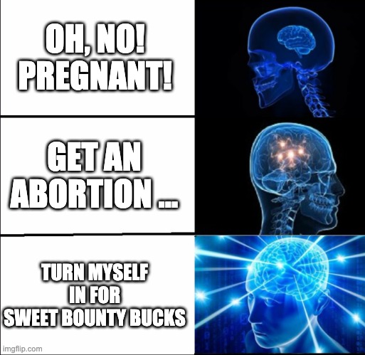 Galaxy Brain (3 brains) | OH, NO! PREGNANT! GET AN ABORTION ... TURN MYSELF IN FOR SWEET BOUNTY BUCKS | image tagged in galaxy brain 3 brains | made w/ Imgflip meme maker