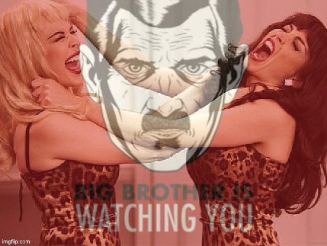 Dannii big brother | image tagged in dannii big brother | made w/ Imgflip meme maker