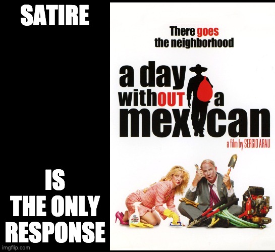 SATIRE IS THE ONLY RESPONSE | made w/ Imgflip meme maker