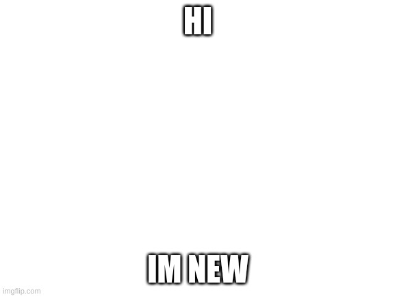 Blank White Template | HI; IM NEW | image tagged in blank white template | made w/ Imgflip meme maker