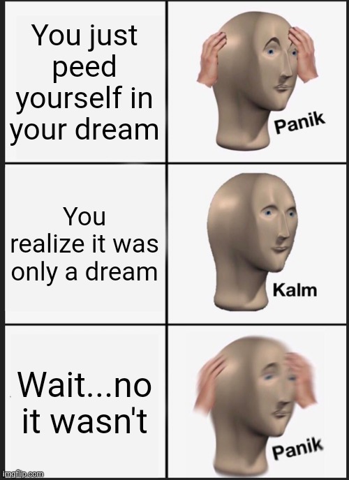 Not again | You just peed yourself in your dream; You realize it was only a dream; Wait...no it wasn't | image tagged in memes,panik kalm panik | made w/ Imgflip meme maker