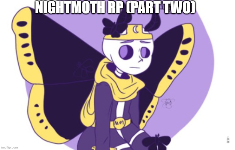 NightMoth RP (PART TWO) | NIGHTMOTH RP (PART TWO); (NOTE: THIS WAS JUST TO AVOID LAG!) | image tagged in this was just to avoid too much lag | made w/ Imgflip meme maker