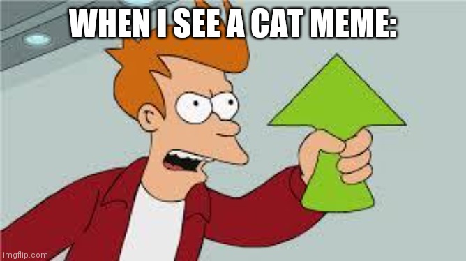 shut up and take my upvote | WHEN I SEE A CAT MEME: | image tagged in shut up and take my upvote | made w/ Imgflip meme maker