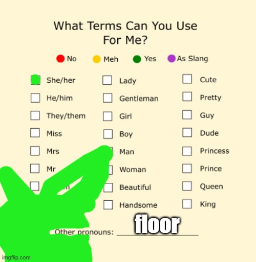 NAME ME FLOOR. OR TOASTER. | floor | image tagged in pronouns sheet | made w/ Imgflip meme maker