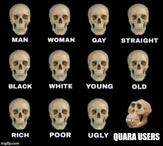 Quara is nothing but lies | QUARA USERS | image tagged in idiot skull | made w/ Imgflip meme maker
