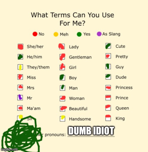 Call me dumb idiot | DUMB IDIOT | image tagged in pronouns sheet | made w/ Imgflip meme maker