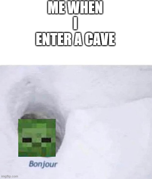 bonjour from a cave | ME WHEN I ENTER A CAVE | image tagged in bonjour | made w/ Imgflip meme maker