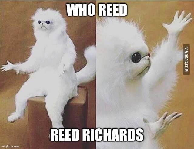 Confused white monkey | WHO REED REED RICHARDS | image tagged in confused white monkey | made w/ Imgflip meme maker