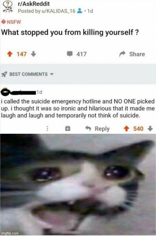 Stolen from reddit | image tagged in crying cat | made w/ Imgflip meme maker