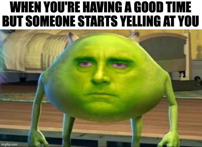 Why bruh | WHEN YOU'RE HAVING A GOOD TIME BUT SOMEONE STARTS YELLING AT YOU | image tagged in mike wazowski but he s high | made w/ Imgflip meme maker