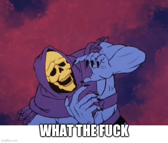 Skeletor Oh God What The Fuck | WHAT THE FUCK | image tagged in skeletor oh god what the fuck | made w/ Imgflip meme maker