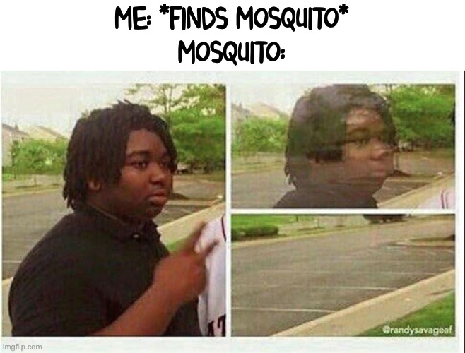 I am the invisible man | ME: *FINDS MOSQUITO*
MOSQUITO: | image tagged in black guy disappearing | made w/ Imgflip meme maker