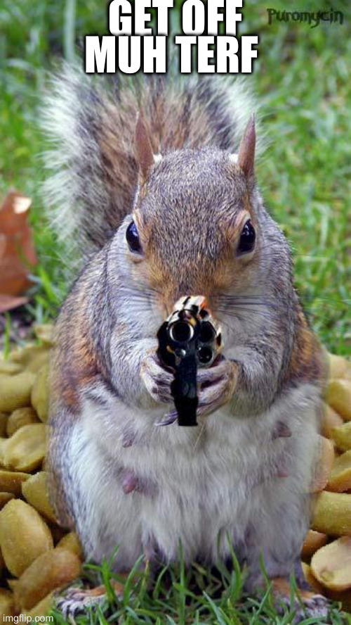 peanut gallery | GET OFF MUH TERF | image tagged in funny squirrels with guns 5 | made w/ Imgflip meme maker