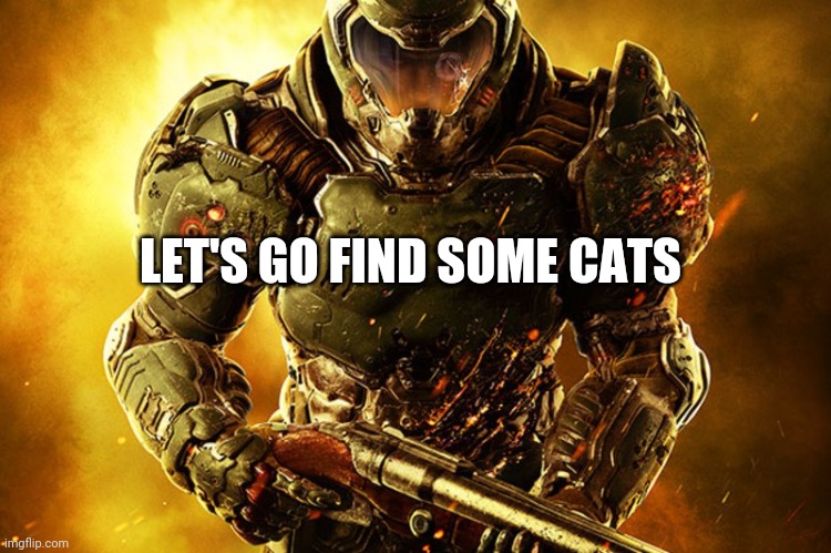 Doom Guy Things | LET'S GO FIND SOME CATS | image tagged in doom guy things | made w/ Imgflip meme maker
