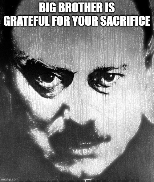 the big brother | BIG BROTHER IS GRATEFUL FOR YOUR SACRIFICE | image tagged in the big brother | made w/ Imgflip meme maker