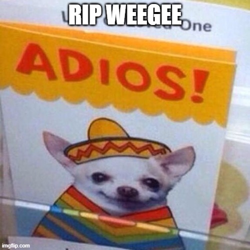 chihuahua adios | RIP WEEGEE | image tagged in chihuahua adios | made w/ Imgflip meme maker