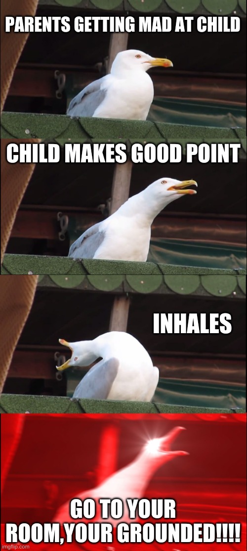 parents | PARENTS GETTING MAD AT CHILD; CHILD MAKES GOOD POINT; INHALES; GO TO YOUR ROOM,YOUR GROUNDED!!!! | image tagged in memes,inhaling seagull | made w/ Imgflip meme maker