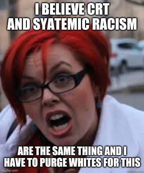 SJW Triggered | I BELIEVE CRT AND SYATEMIC RACISM ARE THE SAME THING AND I HAVE TO PURGE WHITES FOR THIS | image tagged in sjw triggered | made w/ Imgflip meme maker