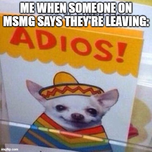chihuahua adios | ME WHEN SOMEONE ON MSMG SAYS THEY'RE LEAVING: | image tagged in chihuahua adios | made w/ Imgflip meme maker