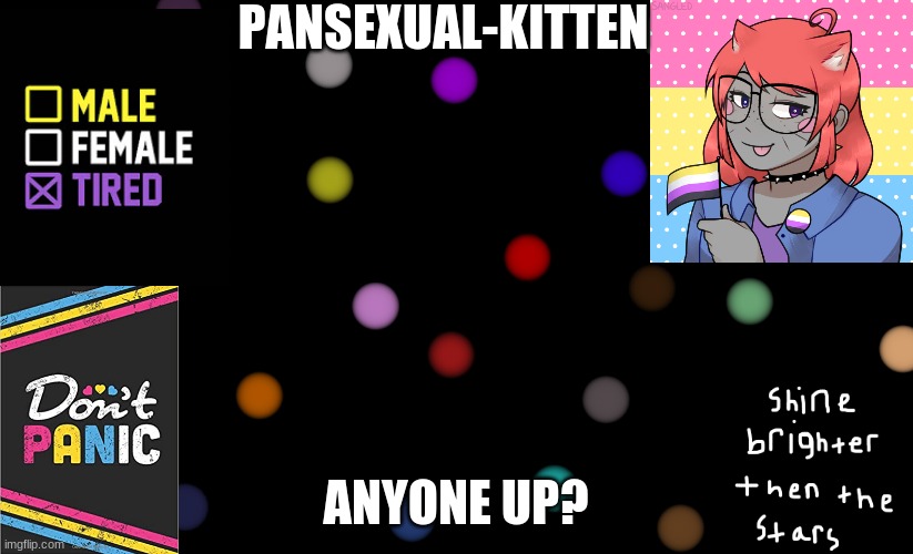 ~Pansexual-kitten~ | ANYONE UP? | image tagged in pansexual-kitten | made w/ Imgflip meme maker