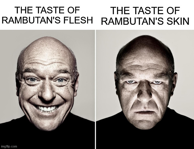 Rambutan | THE TASTE OF RAMBUTAN'S SKIN; THE TASTE OF RAMBUTAN'S FLESH | image tagged in dean norris reaction | made w/ Imgflip meme maker