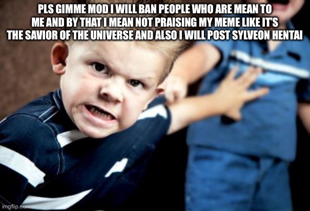 yeah | PLS GIMME MOD I WILL BAN PEOPLE WHO ARE MEAN TO ME AND BY THAT I MEAN NOT PRAISING MY MEME LIKE IT’S THE SAVIOR OF THE UNIVERSE AND ALSO I WILL POST SYLVEON HENTAI | made w/ Imgflip meme maker
