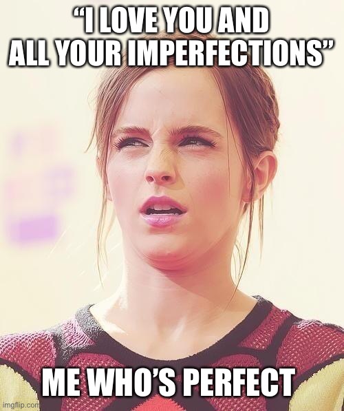 Memes | “I LOVE YOU AND ALL YOUR IMPERFECTIONS”; ME WHO’S PERFECT | image tagged in confused | made w/ Imgflip meme maker