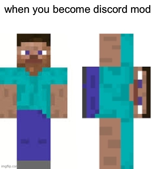 e | when you become discord mod | image tagged in normal steve and sideways steve,funny | made w/ Imgflip meme maker