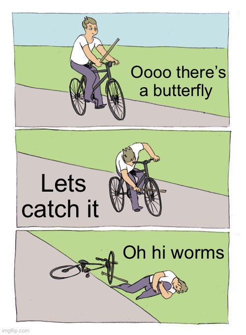 Bike Fall Meme | Oooo there’s a butterfly; Lets catch it; Oh hi worms | image tagged in memes,bike fall | made w/ Imgflip meme maker