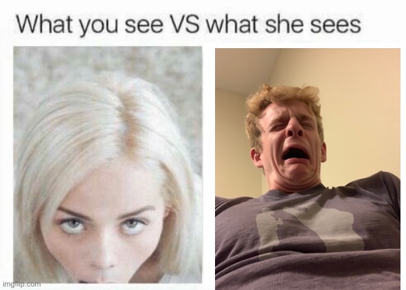 What you see vs what she sees | image tagged in what you see vs what she sees | made w/ Imgflip meme maker
