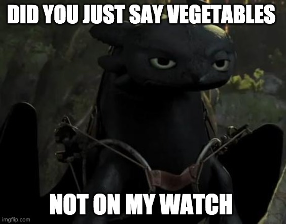 if you like this give a like or a comment | DID YOU JUST SAY VEGETABLES; NOT ON MY WATCH | image tagged in toothless grouchy | made w/ Imgflip meme maker