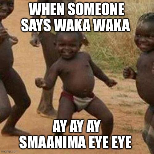 Lmao | WHEN SOMEONE SAYS WAKA WAKA; AY AY AY SMAANIMA EYE EYE | image tagged in memes,third world success kid | made w/ Imgflip meme maker