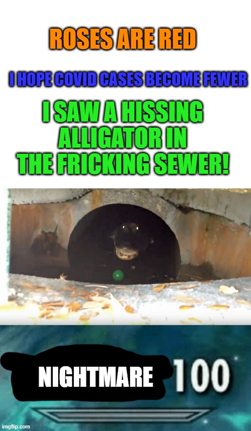 it doesnt even look like one! | ROSES ARE RED; I HOPE COVID CASES BECOME FEWER; I SAW A HISSING ALLIGATOR IN THE FRICKING SEWER! NIGHTMARE | image tagged in blank white template | made w/ Imgflip meme maker