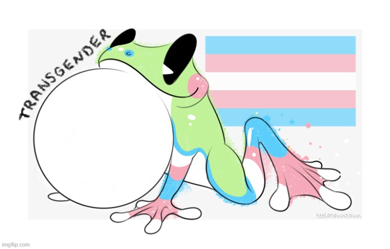 16 (by pig) | image tagged in frog,lgbtq,trans,furry | made w/ Imgflip meme maker