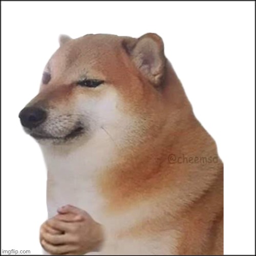 Cheems joining hands meme template | image tagged in cheems,doge | made w/ Imgflip meme maker