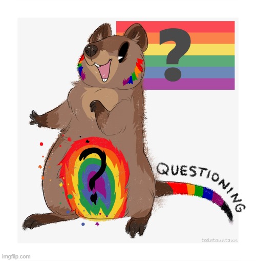 26 (by pig) | image tagged in lgbtq,furry,questioning,cute | made w/ Imgflip meme maker