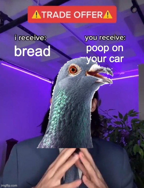 The choice is yours | poop on your car; bread | image tagged in memes,unfunny | made w/ Imgflip meme maker