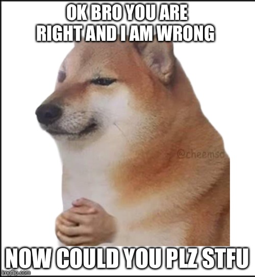 Cheems could you please shut up | OK BRO YOU ARE RIGHT AND I AM WRONG; NOW COULD YOU PLZ STFU | image tagged in cheems,doge | made w/ Imgflip meme maker