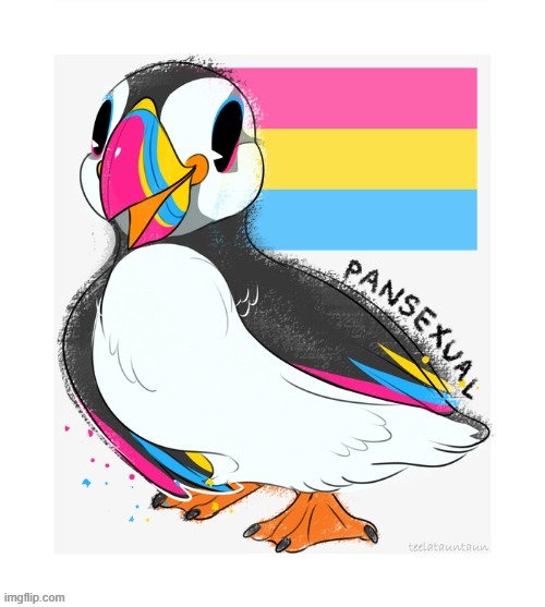Cute | image tagged in penguin,cute,furry,pan | made w/ Imgflip meme maker