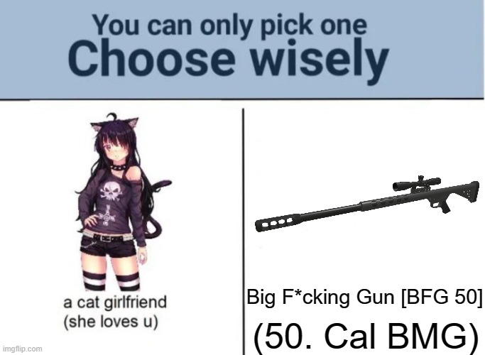 id go with the 50. cal | (50. Cal BMG); Big F*cking Gun [BFG 50] | image tagged in choose wisely,memes,guns,anime meme | made w/ Imgflip meme maker