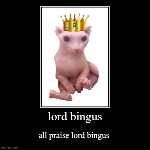 lord bingus | image tagged in funny,demotivationals | made w/ Imgflip demotivational maker