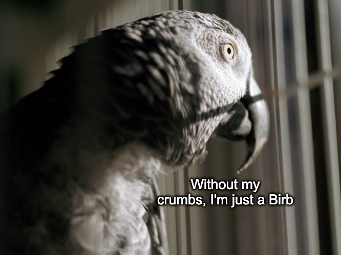 Without my crumbs, I'm just a Birb Blank Meme Template