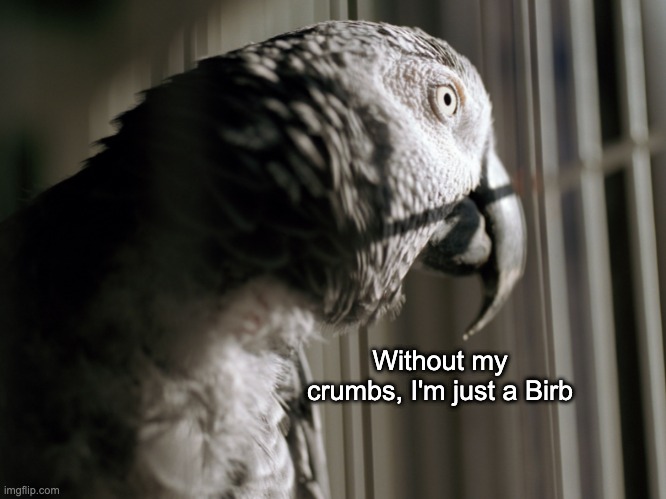 Without my crumbs, I'm just a Birb | made w/ Imgflip meme maker
