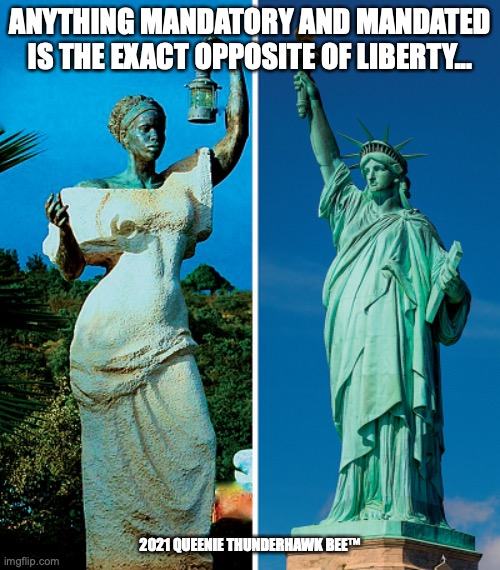 Statute of Liberty | ANYTHING MANDATORY AND MANDATED IS THE EXACT OPPOSITE OF LIBERTY... 2021 QUEENIE THUNDERHAWK BEE™ | image tagged in statue of liberty | made w/ Imgflip meme maker