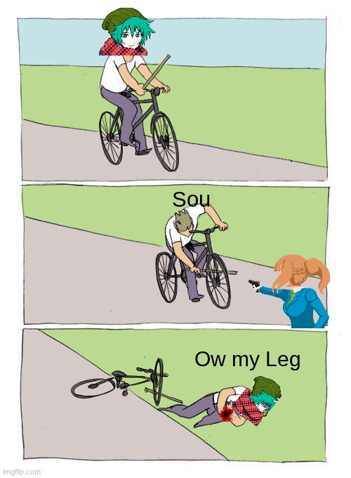 Ow | Sou; Ow my Leg | image tagged in memes,bike fall | made w/ Imgflip meme maker