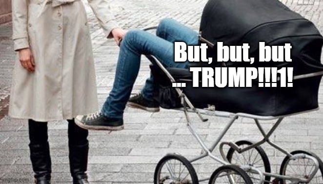 snowflake liberal baby | But, but, but ... TRUMP!!!1! | image tagged in snowflake liberal baby | made w/ Imgflip meme maker