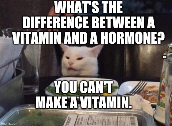 Salad cat | WHAT'S THE DIFFERENCE BETWEEN A VITAMIN AND A HORMONE? J M; YOU CAN'T MAKE A VITAMIN. | image tagged in salad cat | made w/ Imgflip meme maker